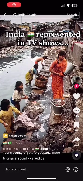 India Represented in TV Shows