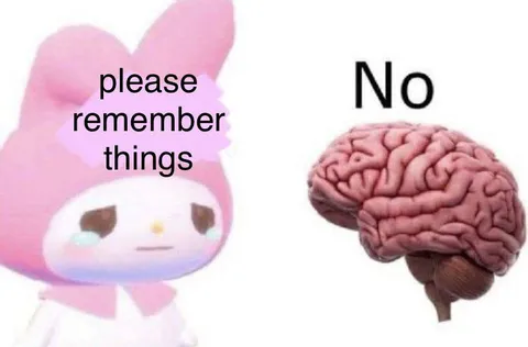 Please Remember Things No
