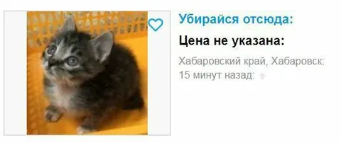 Убирайся отсюда, цена не указана