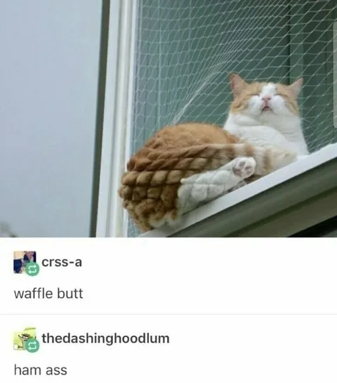 Waffle Butt Ham Ass