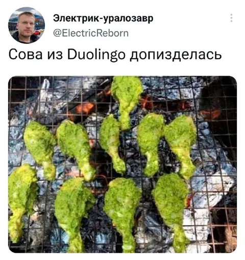 Сова из Duolingo допизделась