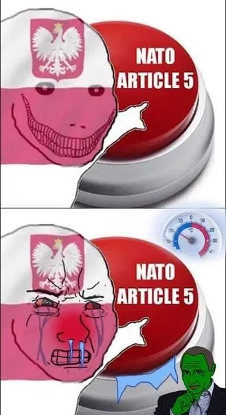 NATO Article 5 Button