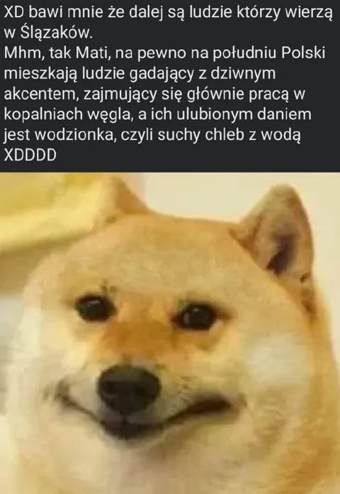 Mati wierzy w Ślązaków