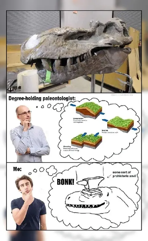 Paleontologist Finds a Prehistoric Anvil