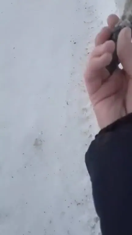 Эпичная находка в снегу