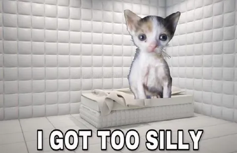 I Got Too Silly Kitten