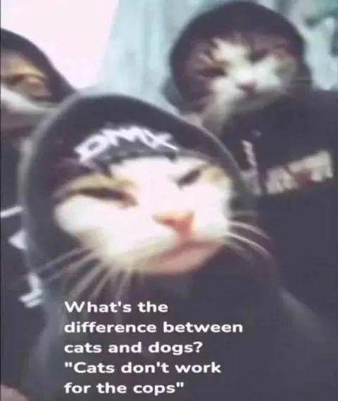 Cats Don't Work for the Cops