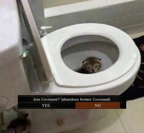 Cat Chooses the Covenant