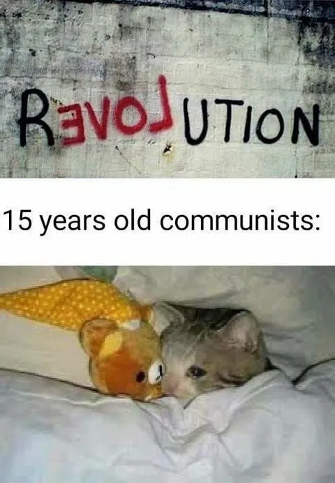15-Year-Old Communists Revolution