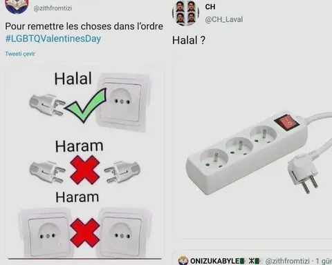 Halal ou haram des prises