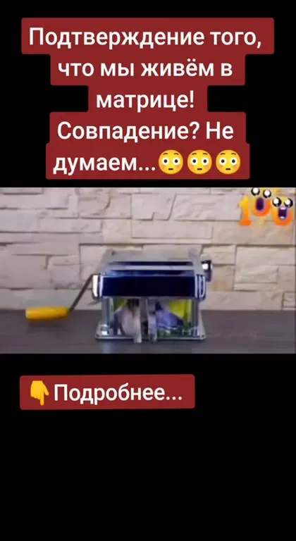 Фотография собаки превращается в четырёх