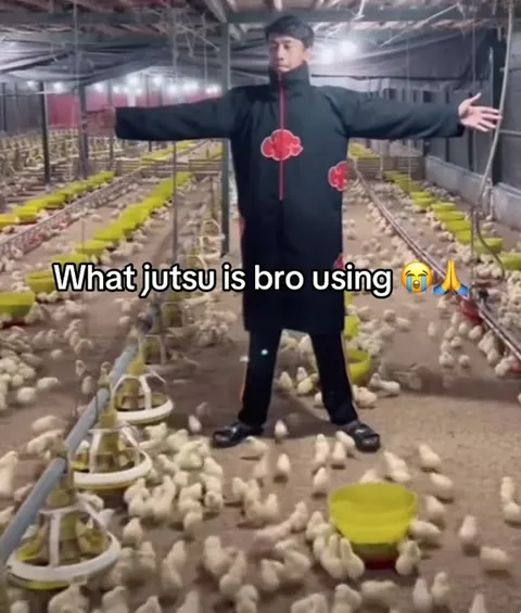 What Jutsu Is Bro Using?