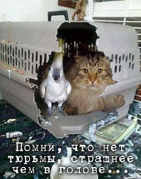 Тюрьма в голове