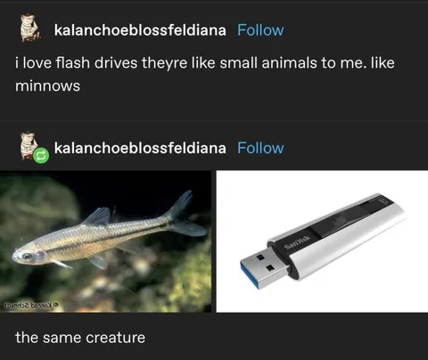 Flash Drives Are Minnows