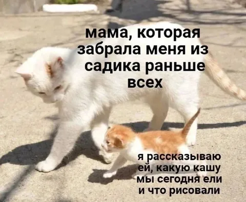 Мама забрала из садика раньше всех