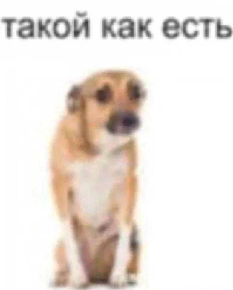 Такой как есть щенок