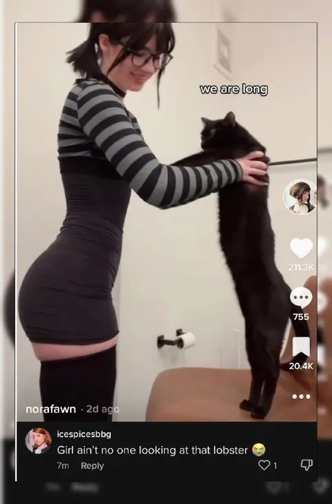 We Are Long Cat