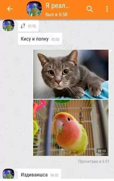 Кису и попку