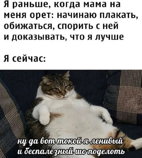 Когда стал слишком ленивым спорить
