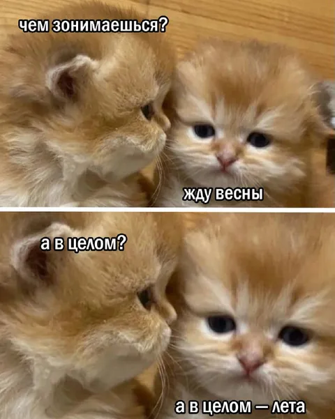 Жду весны, а в целом лета
