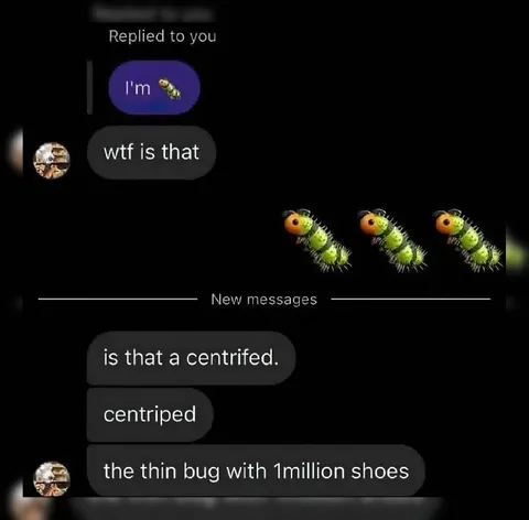 The Thin Bug With One Million Shoes