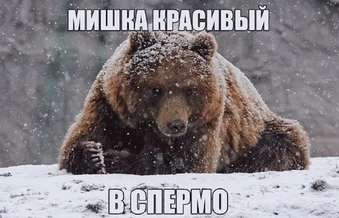 Мишка красивый в сперму