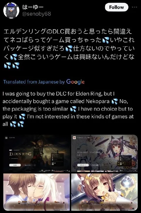 エルデンリングとネコぱらを間違える