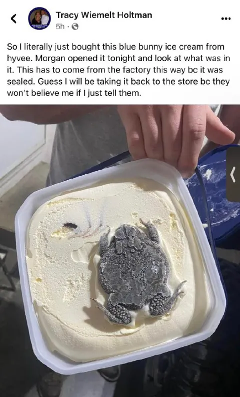 Frog Frozen in Blue Bunny Ice Cream