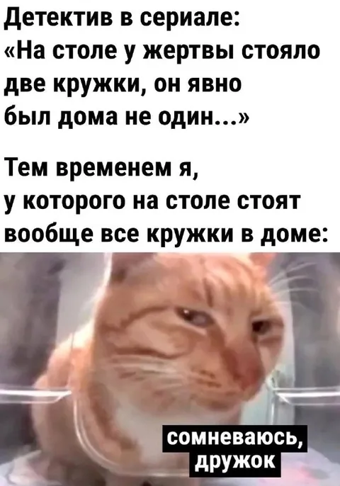 Детектив и все кружки дома