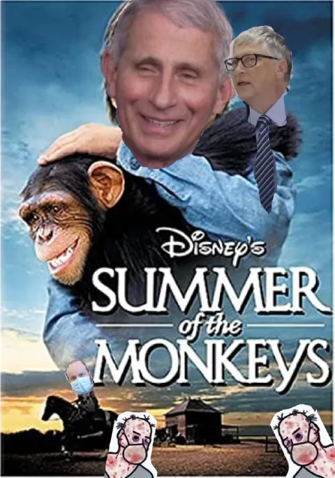 Summer of the Monkeys Meme