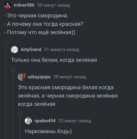 Смородина ещё зелёная