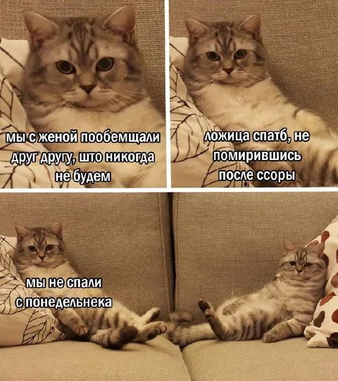 Мы не спали с понедельнека