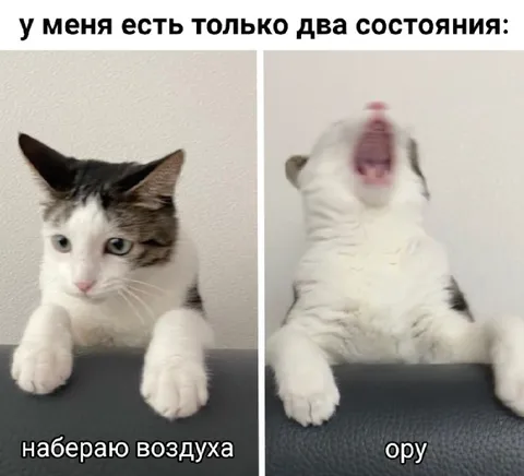 У меня только два состояния