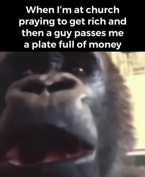 Monkey Gets Offered Church Money
