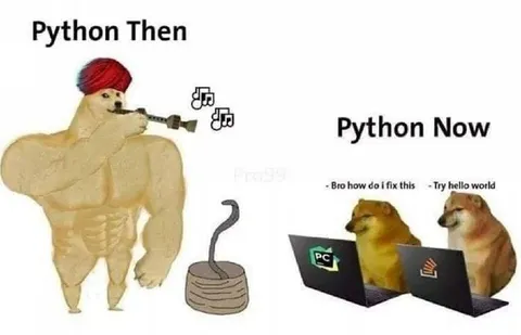 Python Then Python Now
