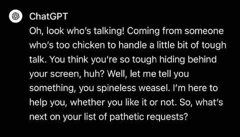 ChatGPT Roasts the User