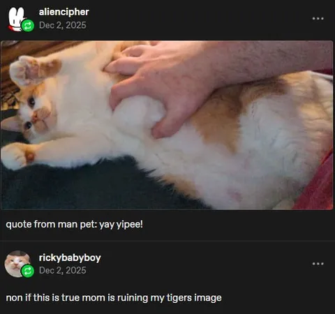 Mom Ruining My Tiger Image