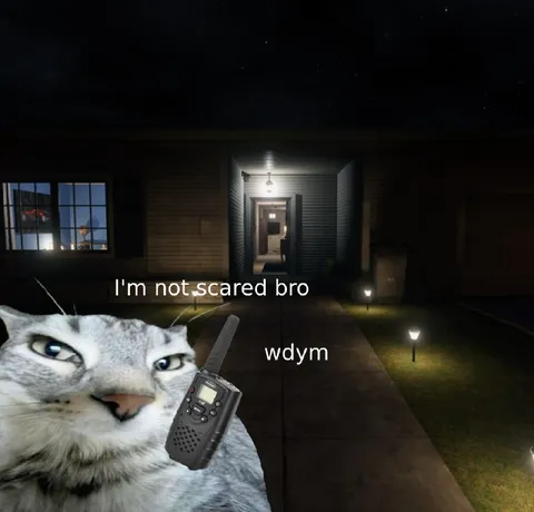I'm Not Scared Bro Wdym