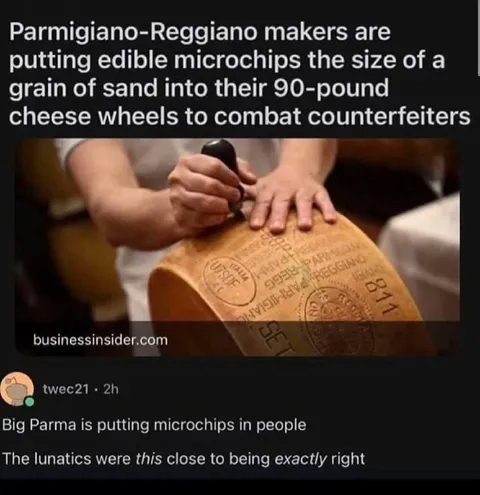 Parmesan Cheese Microchips