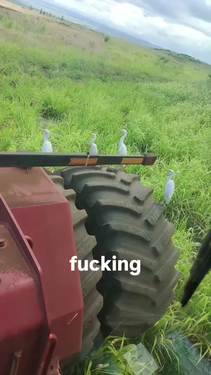 Fucking You God