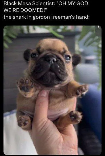 Doomed Scientist Holds Tiny Pug