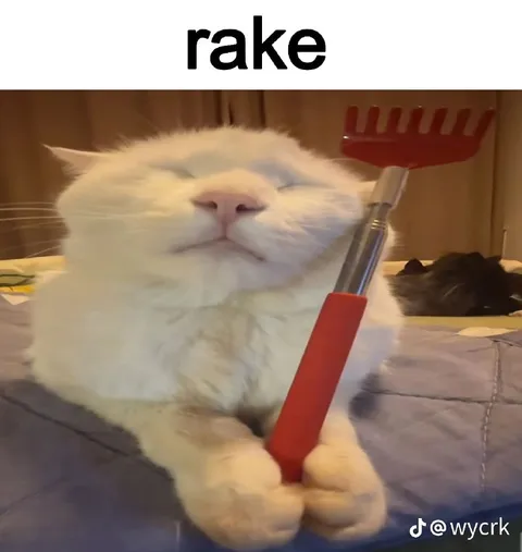 Cat Holding a Rake