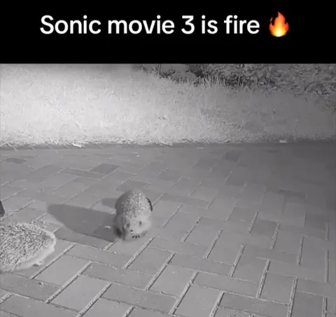 Sonic Movie Is Fire