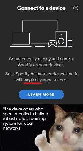 Developers Discover Local Network Streaming