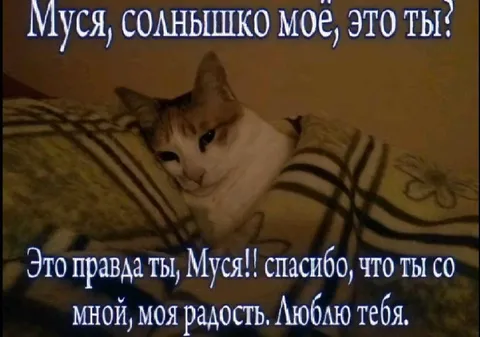 Муся, моя радость