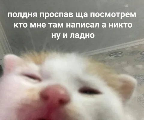 Проспал полдня и никто не написал