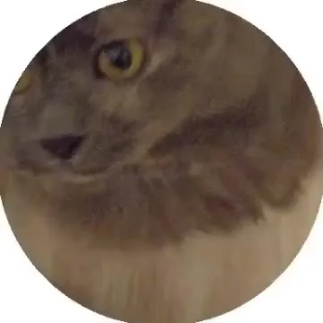 Кот не хочет уходить