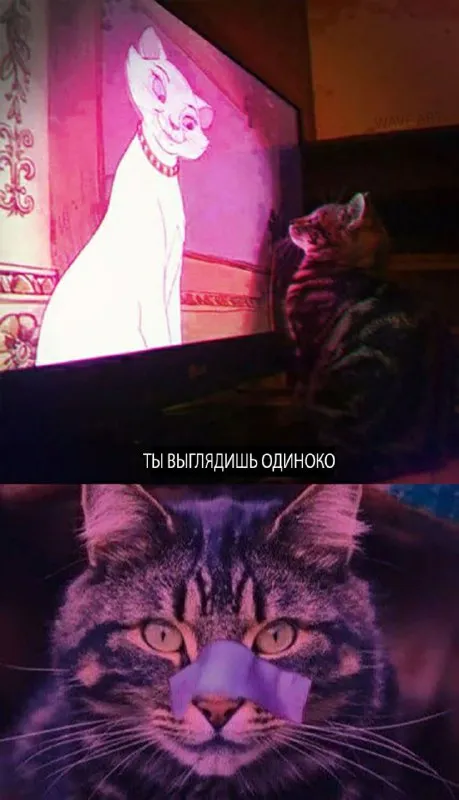 Ты выглядишь одиноко