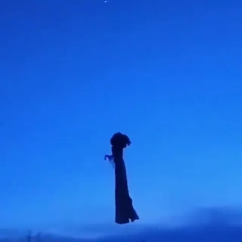 Летающий самодельный дементор