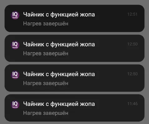Чайник с функцией жопа
